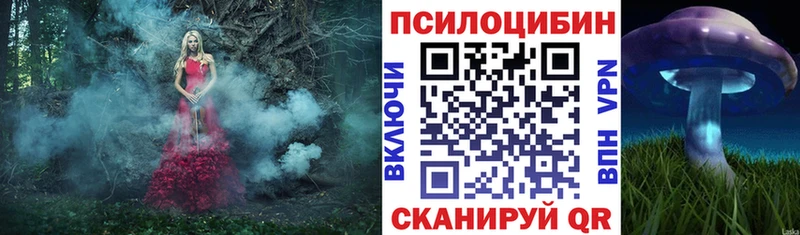 Псилоцибиновые грибы прущие грибы  Купить  Малгобек 
