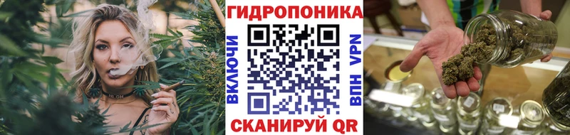 Шишки марихуана AK-47  Купить закладки  Малгобек 